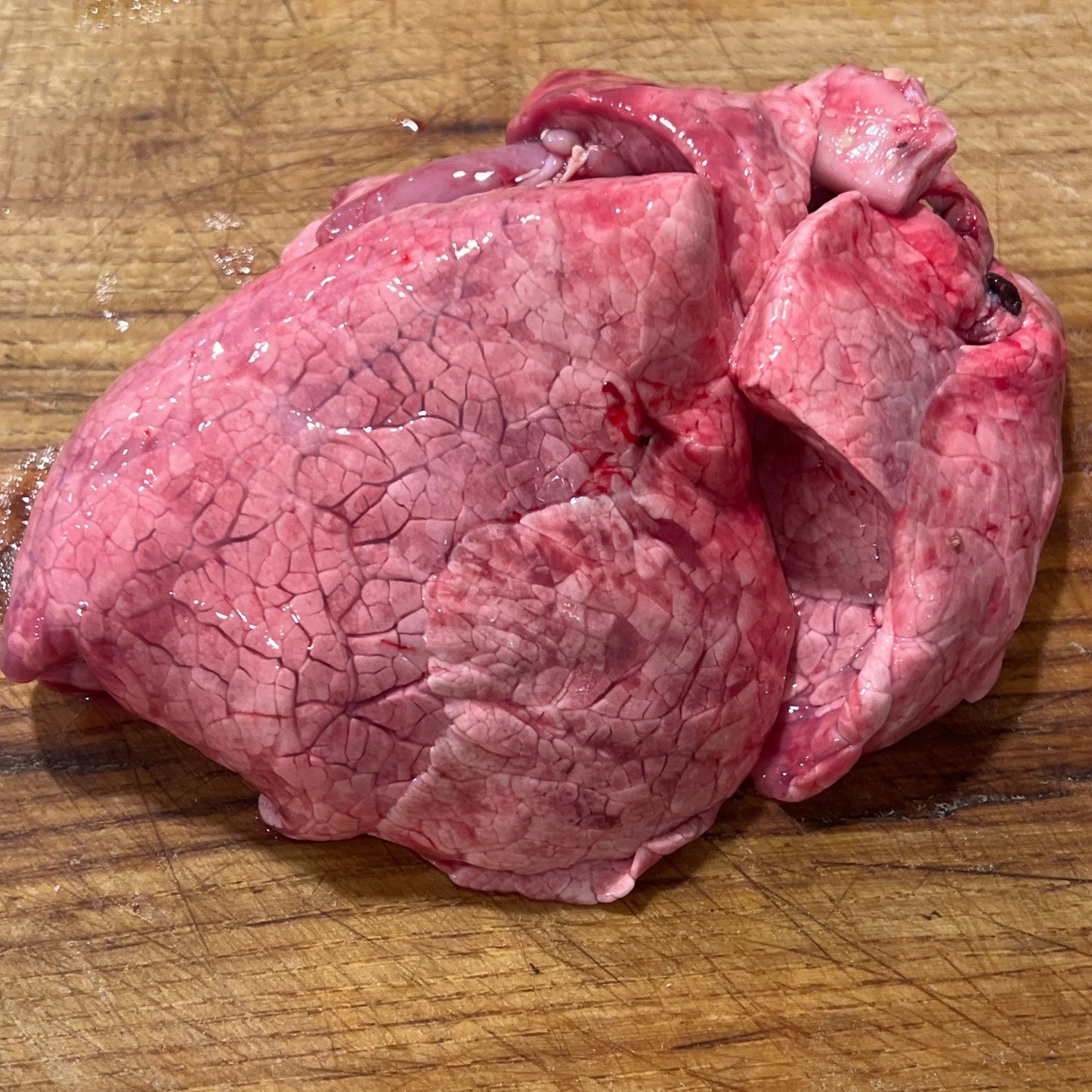 Beef Lungs
