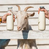 Raw goat milk