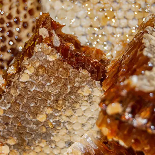 Honeycomb